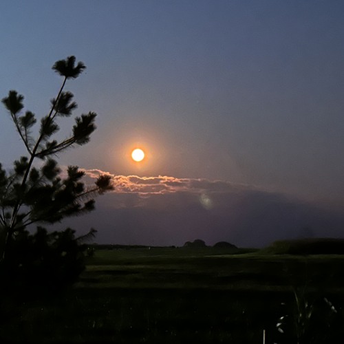 as long as you feel like it was worth it - joshua slone