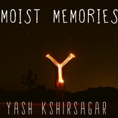moist memories // original electronic chill fusion
