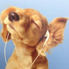 На Юг omg freestyle