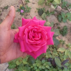 بموت من الخوف