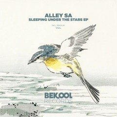 Alley SA - Sleeping Under the Stars (VieL Remix) [Bekool Records]