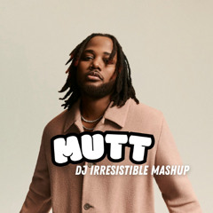 Mutt x I can love you (DJ Irresistible mashup)
