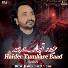 Haider Tumhare Baad