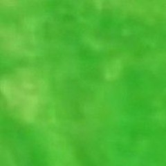 LH Reflection - Melatonin