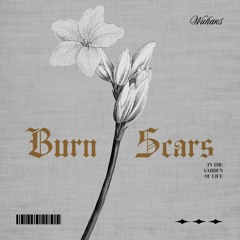 Burn Scars