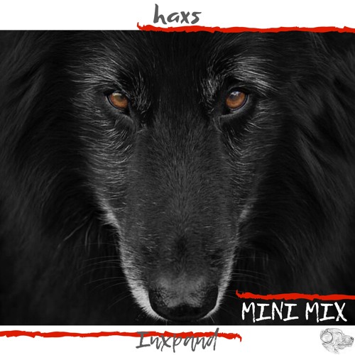 Inxpand EP Mini Mix (DogHeart Records)