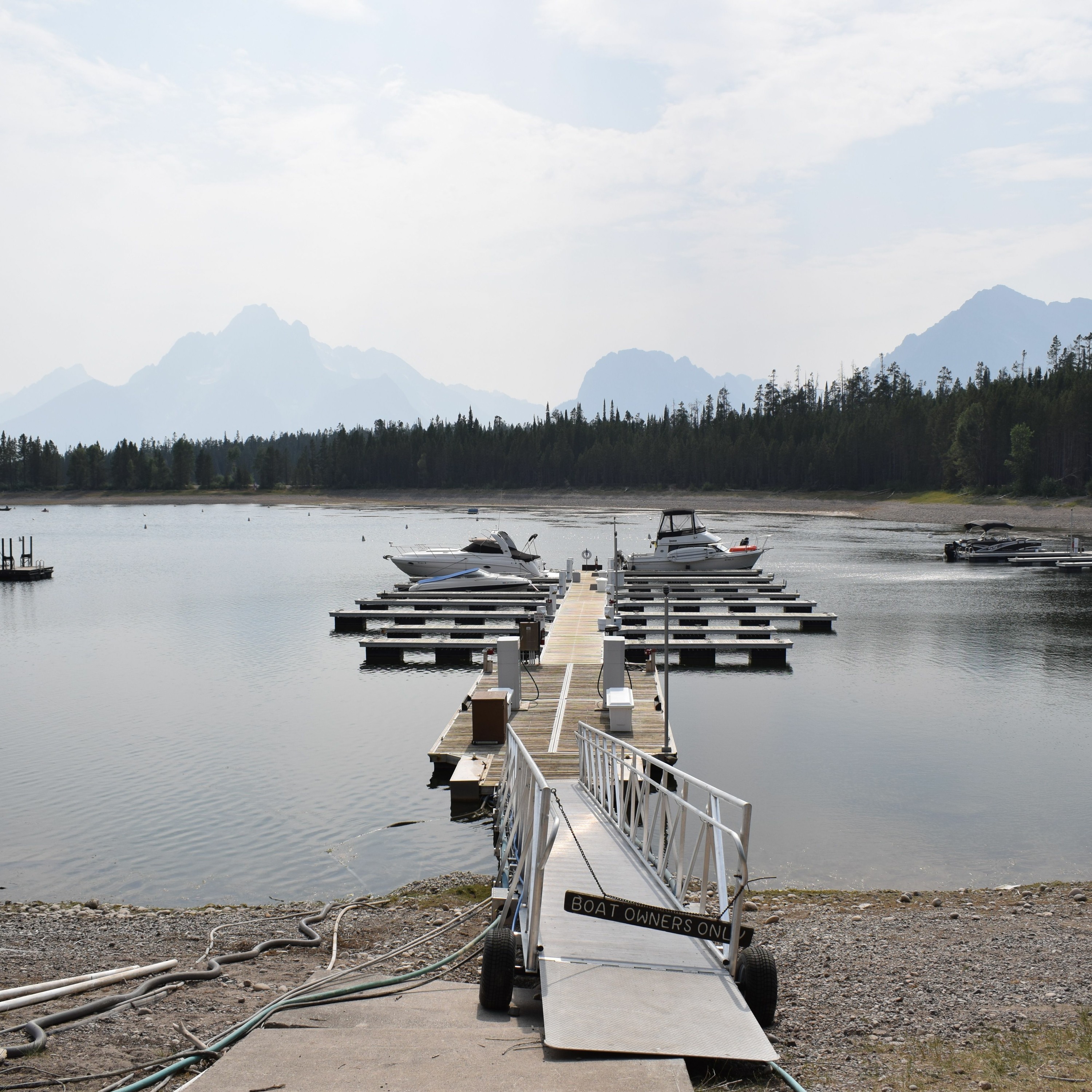 New Report Shows Extent Yellowstone Ecosystem Could Change by 2100 episode artwork