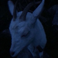 Terk - Treat Me Right