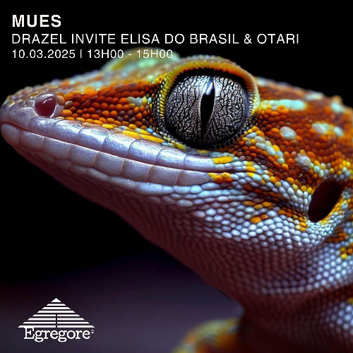 Drazel invite Elisa do Brasil & Otari - Mues (Mars 2025)
