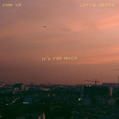 it's too much [ft. LottieMeowe]