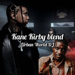 AKON x TYGA - DUMB BELLY DANCER (KANE KIRBY BLEND).mp3