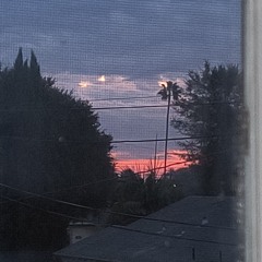 june - codependent (demo)