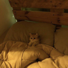 slowdive - Here she comes (slowed + mixed)