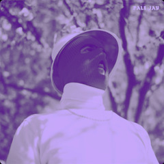 For James (slowed) - Pale Jay