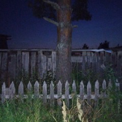 fever dream [alternative version] (p. real hypha)