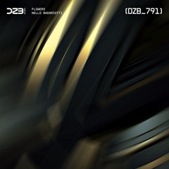 dZb 791 - Nello Badariotti - Explorers (Original Mix).