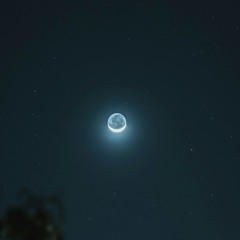 Moonshine