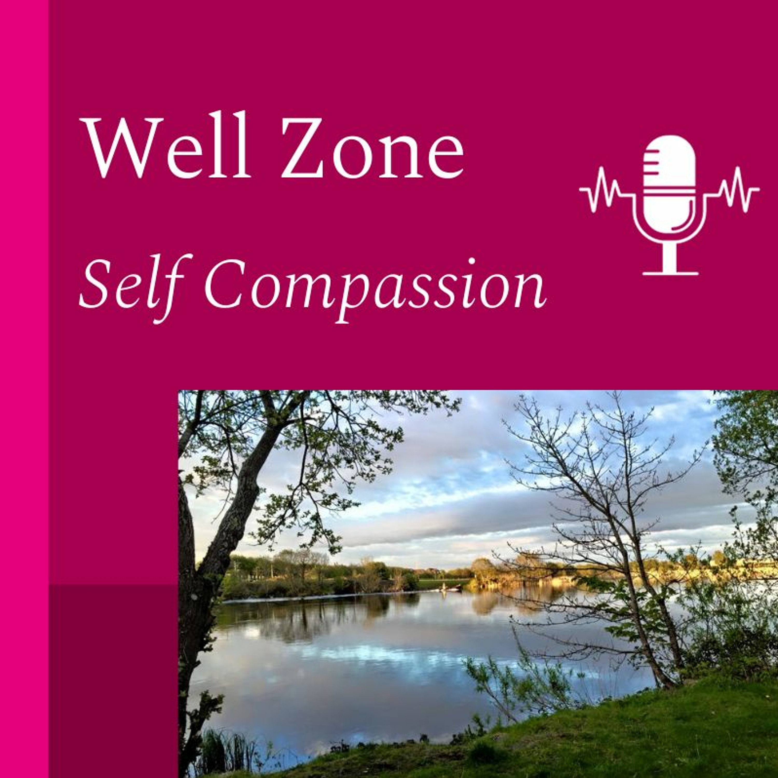 Well Zone - Self Compassion episode artwork