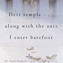 A Temple Of Ants 2(naviarhaiku356)
