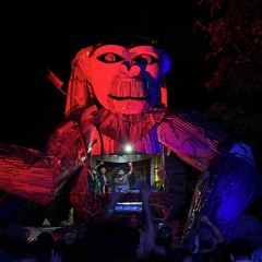 Night Goa Trance  //  Independence Day Kasol