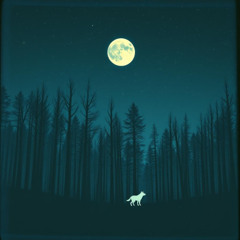 Some night in the middle of a blue (2)
