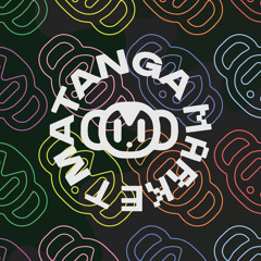 Matanga Monkey Mayhem