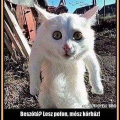 GYERE BELE CORONITA 2023