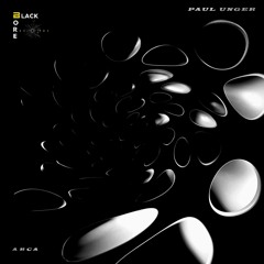 PAUL UNGER - Arca