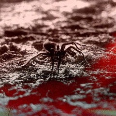 Massive Attack - ANGEL (MiLo Edit)