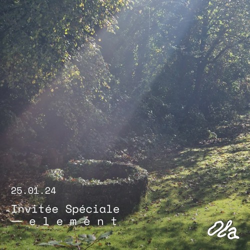 Invitée Spéciale — e l e m e n t