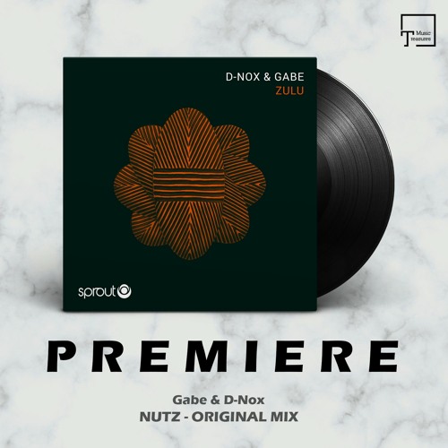 PREMIERE: Gabe & D-Nox - Nutz (Original Mix) [SPROUT]