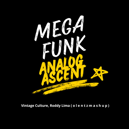 Mega Funk Analog Ascent - Vintage Culture, Roddy Lima ( o l e n t z m a s h u p )