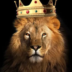 King of the jungle (FREE DOWNLOAD)