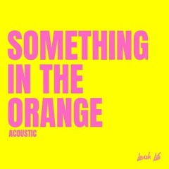 Lavish Life - Something In The Orange