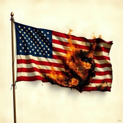 This is not Freedom