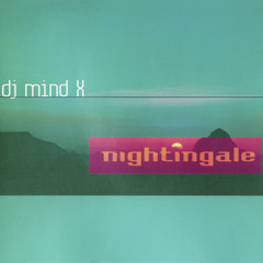 Nightingale (DJ Tandu Remix)