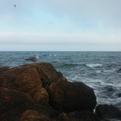 118 club version - IvanRabin