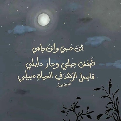 ألا يارسول الله طال اشتياقي بجاه ابن عبدالله فِك وثاقي - الشيخ محمود الحديوى آل شيخون