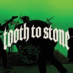 Silent Vice - Tooth to Stone