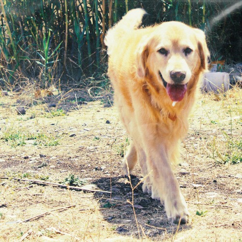 ASLAN
