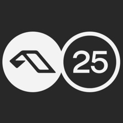 25 Years Of Anjuna Mixed By whenwillYou