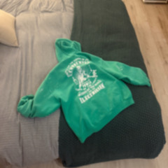 261 100 dollar hoodie (98 polecat)