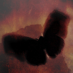 FLY.