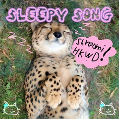 Sleepyyy Songg