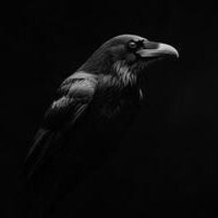 [DEMO] Moja krucza dziewczyna