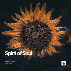J Cole x Snoh Aalegra Type Beat - "Spirit of Soul" Instrumental
