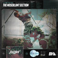 Lowdown - The Noseblunt Section
