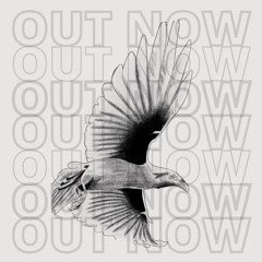 Rock Bottom - Tim Klaver