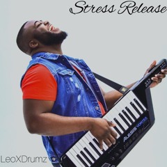 DJ Willmixx - Leo - X  Releasing Stress