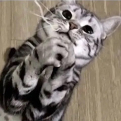 a million things(prod.thadigitaldrumma)